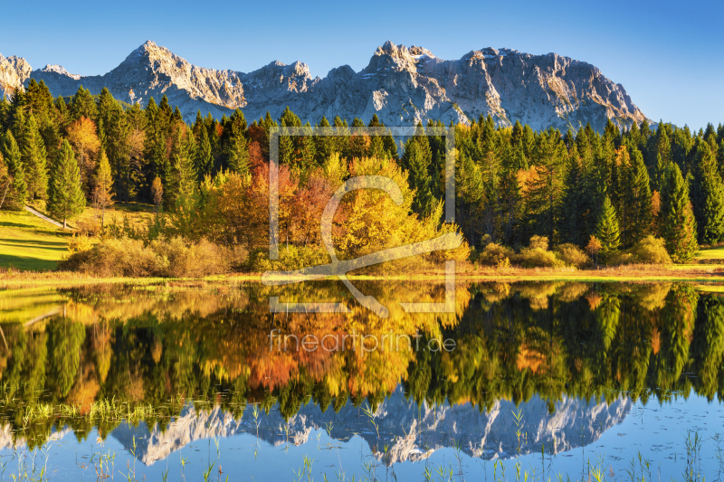 frei wählbarer Bildausschnitt für Ihr Bild auf Tapete