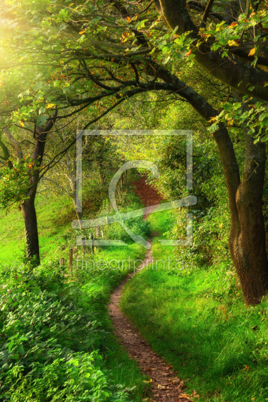 frei w&auml;hlbarer Bildausschnitt f&uuml;r Ihr Bild auf Tapete