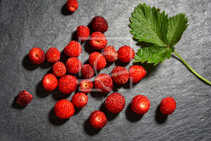 frei w&auml;hlbarer Bildausschnitt f&uuml;r Ihr Bild auf Tapete