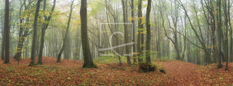 frei wählbarer Bildausschnitt für Ihr Bild auf Tapete