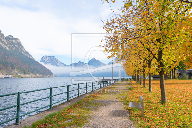 frei wählbarer Bildausschnitt für Ihr Bild auf Tapete