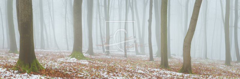 frei wählbarer Bildausschnitt für Ihr Bild auf Tapete