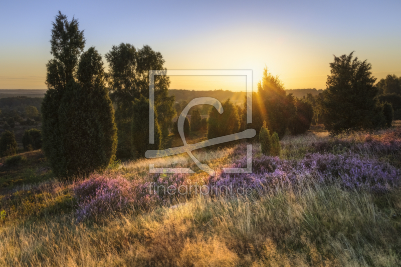 frei w&auml;hlbarer Bildausschnitt f&uuml;r Ihr Bild auf Tapete