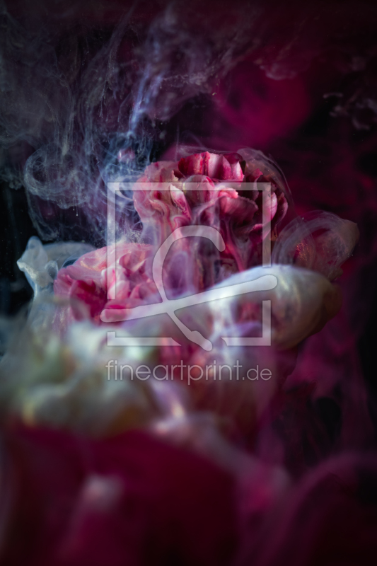 frei w&auml;hlbarer Bildausschnitt f&uuml;r Ihr Bild auf Tapete