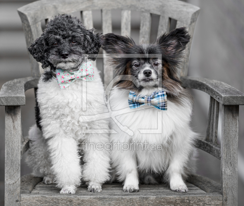 frei wählbarer Bildausschnitt für Ihr Bild auf Tapete