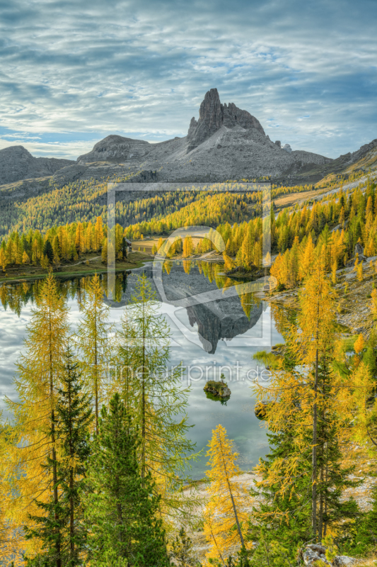 frei w&auml;hlbarer Bildausschnitt f&uuml;r Ihr Bild auf Tapete