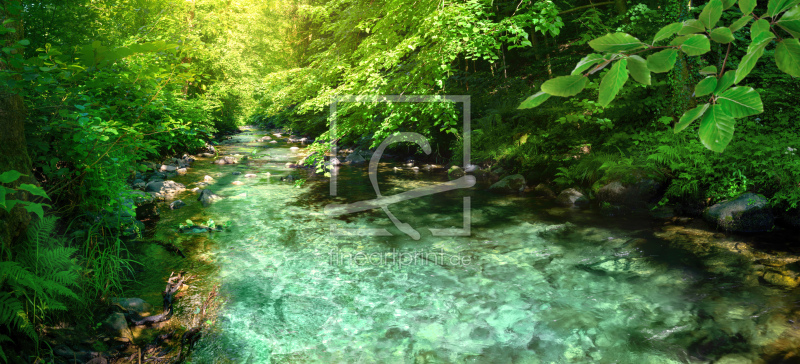 frei w&auml;hlbarer Bildausschnitt f&uuml;r Ihr Bild auf Tapete