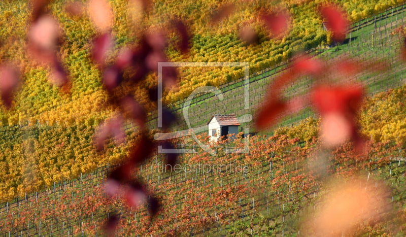 frei wählbarer Bildausschnitt für Ihr Bild auf Tapete