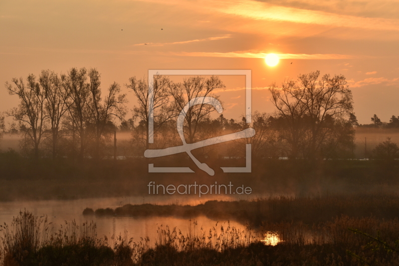 frei wählbarer Bildausschnitt für Ihr Bild auf Tapete