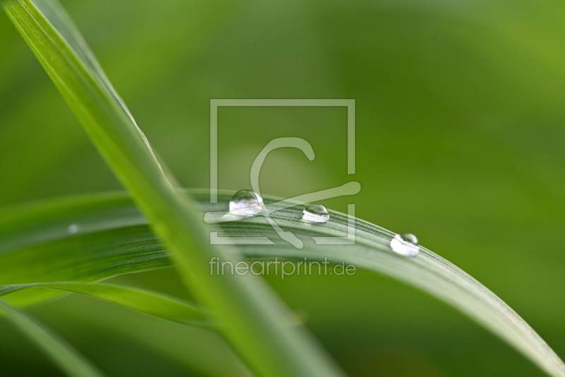 frei w&auml;hlbarer Bildausschnitt f&uuml;r Ihr Bild auf Tapete