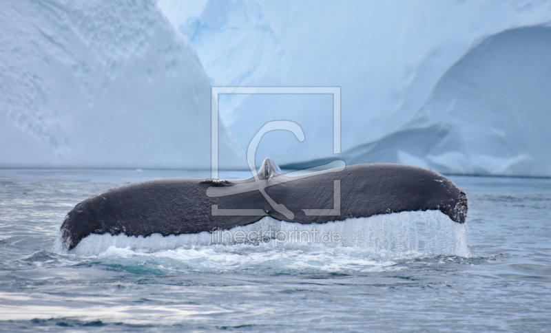 frei wählbarer Bildausschnitt für Ihr Bild auf Tapete