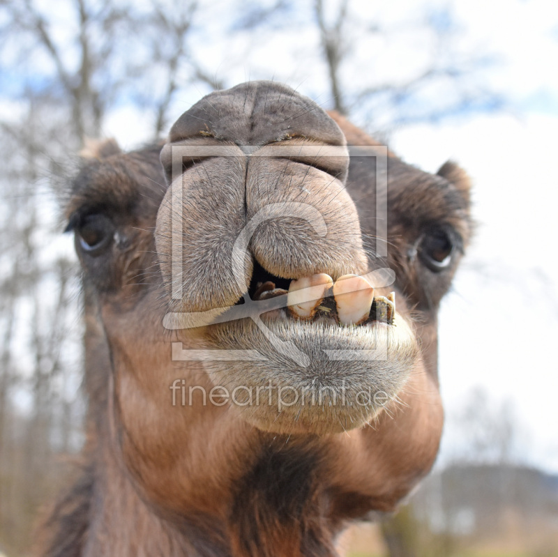 frei w&auml;hlbarer Bildausschnitt f&uuml;r Ihr Bild auf Tapete