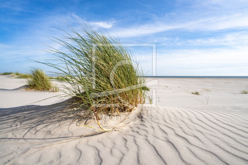 frei w&auml;hlbarer Bildausschnitt f&uuml;r Ihr Bild auf Tapete