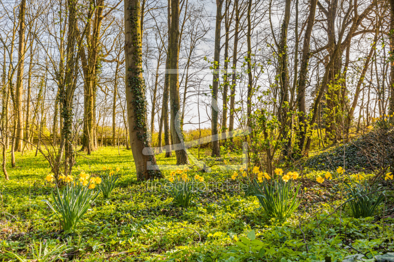 frei wählbarer Bildausschnitt für Ihr Bild auf Tapete