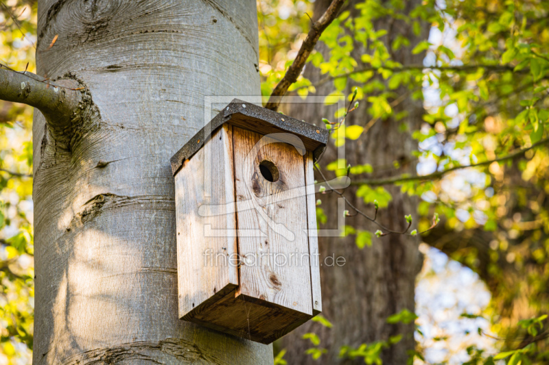 frei wählbarer Bildausschnitt für Ihr Bild auf Tapete