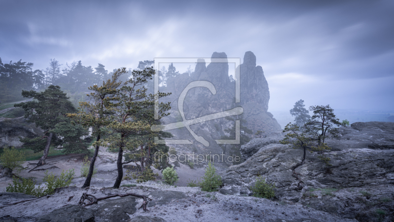 frei w&auml;hlbarer Bildausschnitt f&uuml;r Ihr Bild auf Tapete