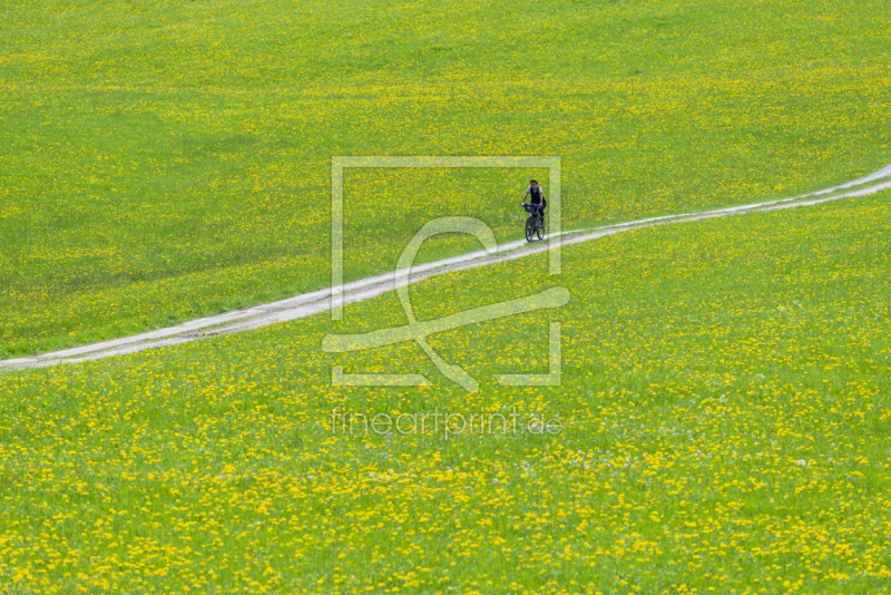 frei wählbarer Bildausschnitt für Ihr Bild auf Tapete