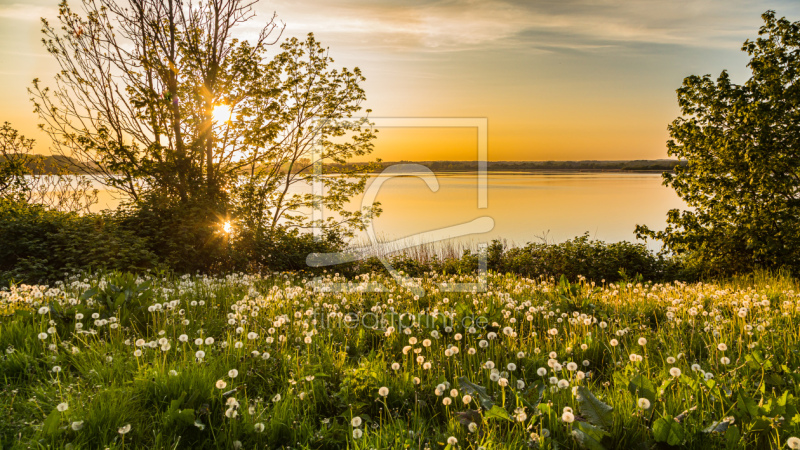 frei w&auml;hlbarer Bildausschnitt f&uuml;r Ihr Bild auf Tapete