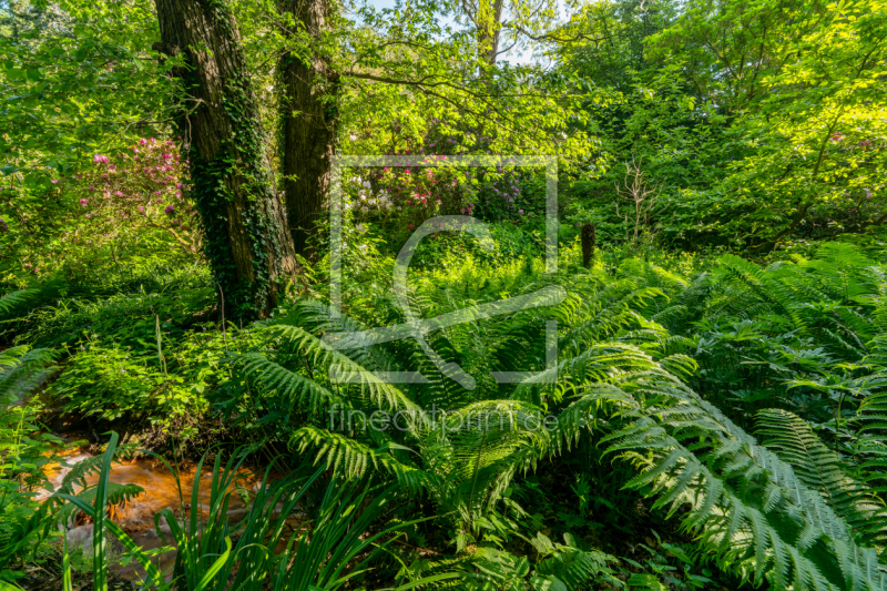 frei w&auml;hlbarer Bildausschnitt f&uuml;r Ihr Bild auf Tapete