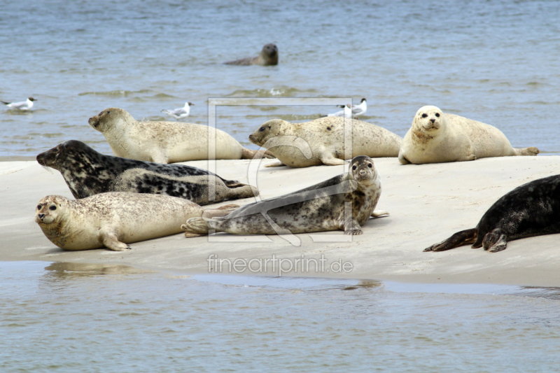 frei wählbarer Bildausschnitt für Ihr Bild auf Tapete