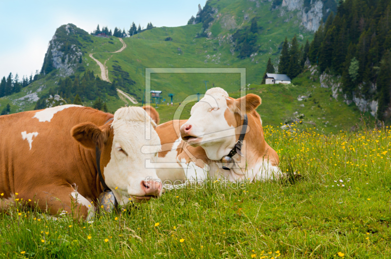frei w&auml;hlbarer Bildausschnitt f&uuml;r Ihr Bild auf Tapete