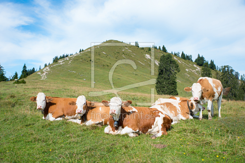 frei w&auml;hlbarer Bildausschnitt f&uuml;r Ihr Bild auf Tapete
