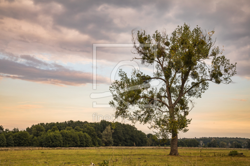 frei w&auml;hlbarer Bildausschnitt f&uuml;r Ihr Bild auf Tapete