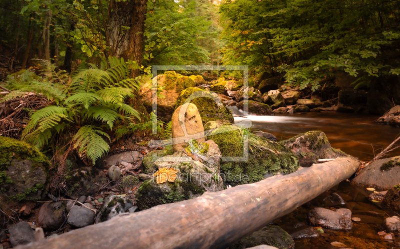 frei w&auml;hlbarer Bildausschnitt f&uuml;r Ihr Bild auf Tapete