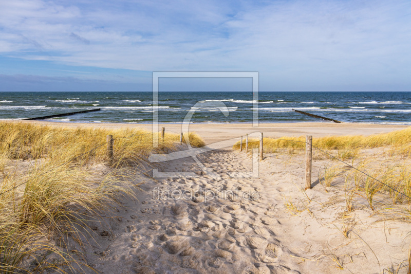 frei wählbarer Bildausschnitt für Ihr Bild auf Tapete