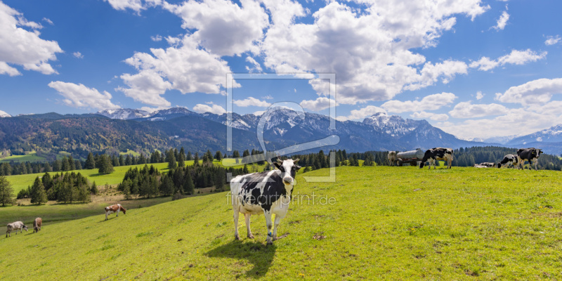 frei wählbarer Bildausschnitt für Ihr Bild auf Tapete