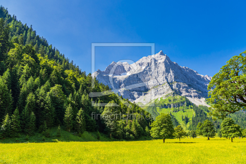 frei wählbarer Bildausschnitt für Ihr Bild auf Tapete