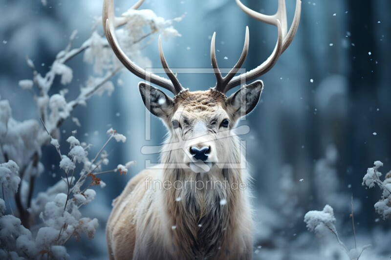 frei wählbarer Bildausschnitt für Ihr Bild auf Tapete