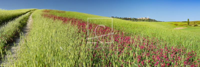 frei w&auml;hlbarer Bildausschnitt f&uuml;r Ihr Bild auf Tapete