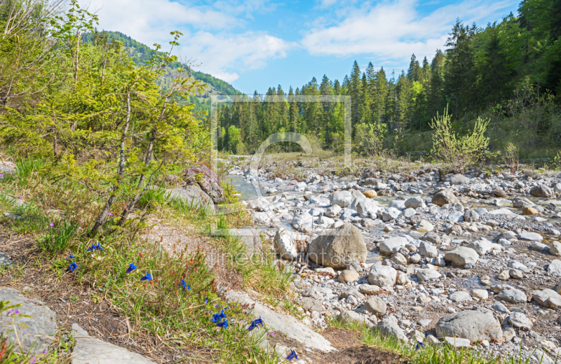 frei w&auml;hlbarer Bildausschnitt f&uuml;r Ihr Bild auf Tapete