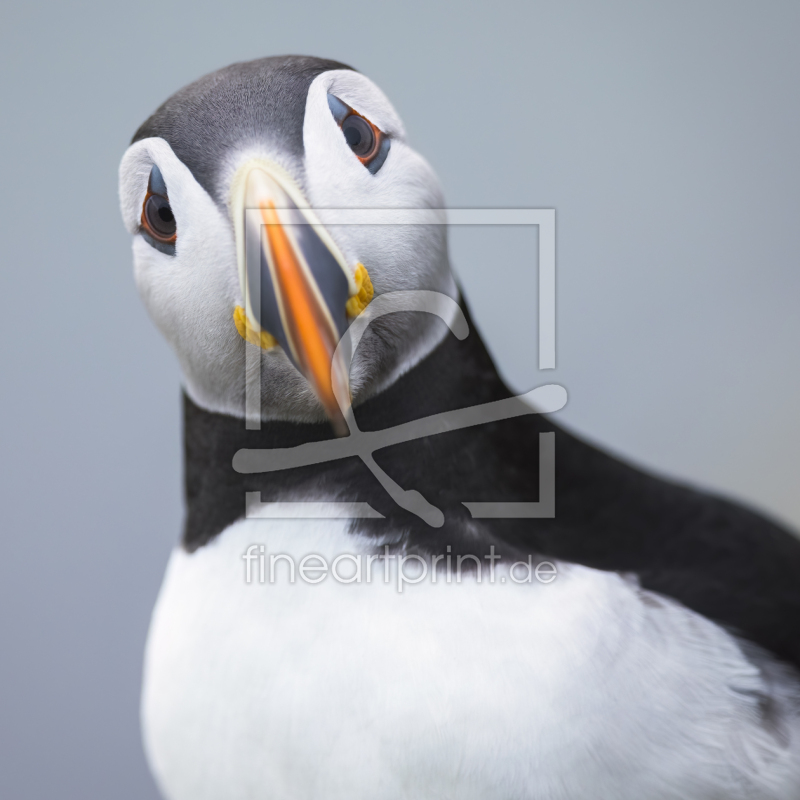 frei w&auml;hlbarer Bildausschnitt f&uuml;r Ihr Bild auf Tapete