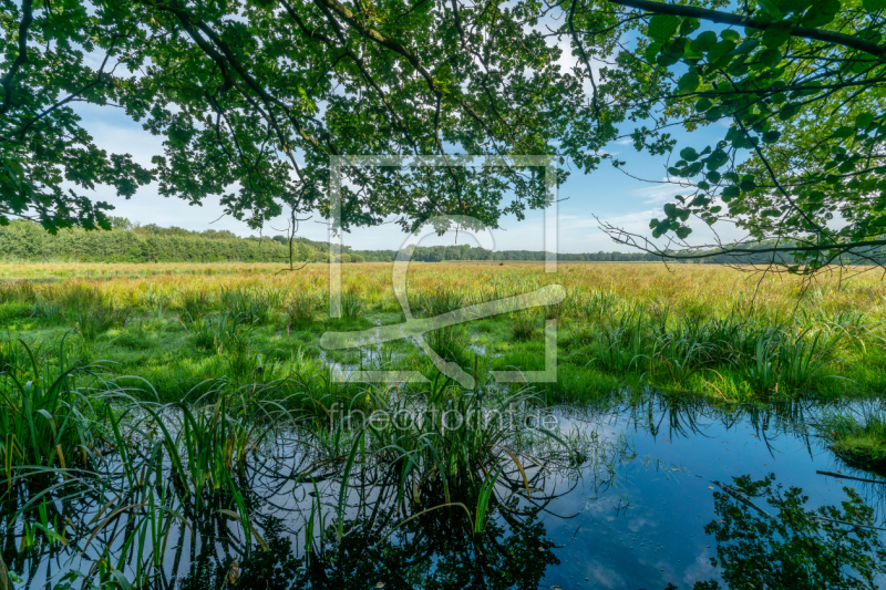 frei w&auml;hlbarer Bildausschnitt f&uuml;r Ihr Bild auf Tapete