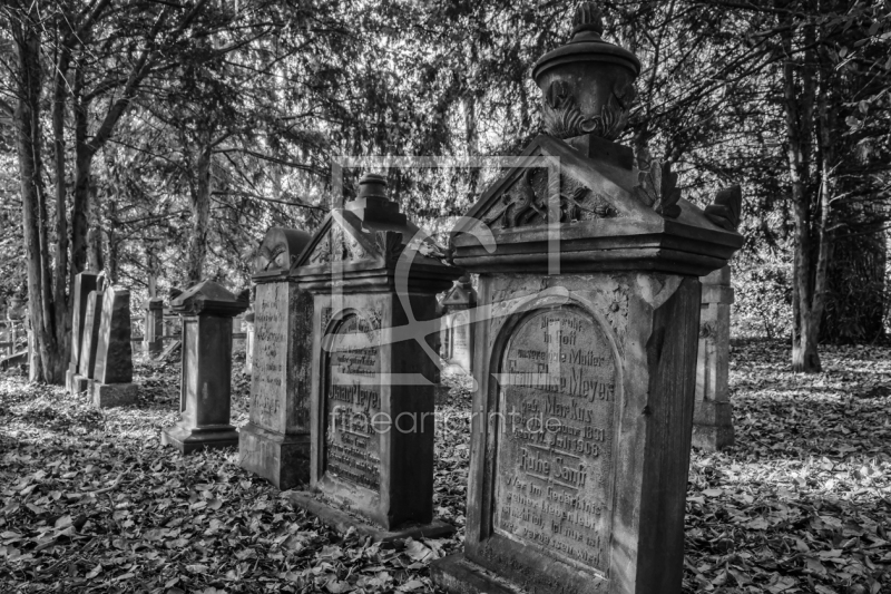 frei wählbarer Bildausschnitt für Ihr Bild auf Tapete