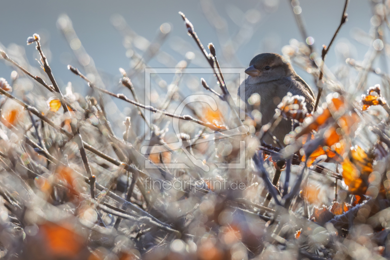 frei w&auml;hlbarer Bildausschnitt f&uuml;r Ihr Bild auf Tapete