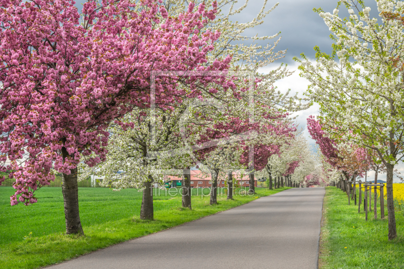 frei w&auml;hlbarer Bildausschnitt f&uuml;r Ihr Bild auf Tapete