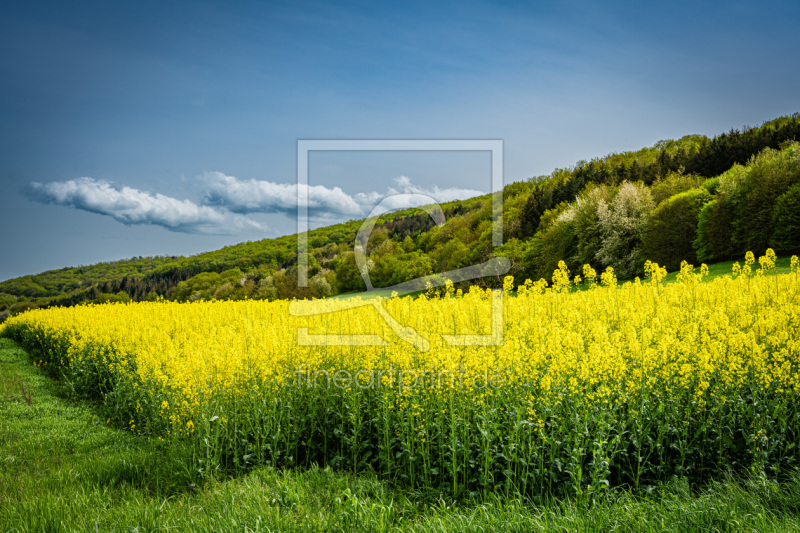 frei w&auml;hlbarer Bildausschnitt f&uuml;r Ihr Bild auf Tapete