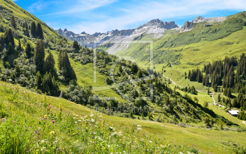 frei wählbarer Bildausschnitt für Ihr Bild auf Tapete