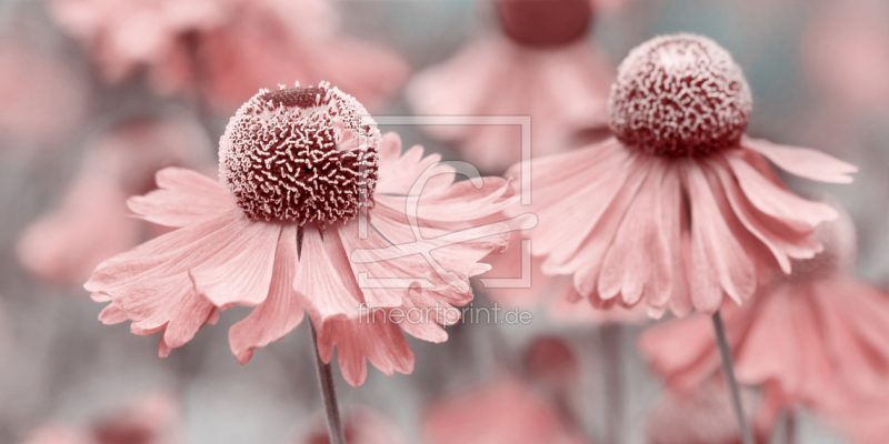 frei wählbarer Bildausschnitt für Ihr Bild auf Tapete