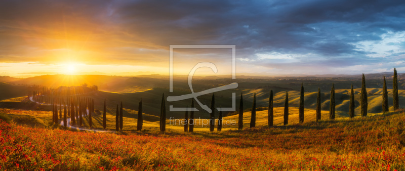 frei wählbarer Bildausschnitt für Ihr Bild auf Tapete