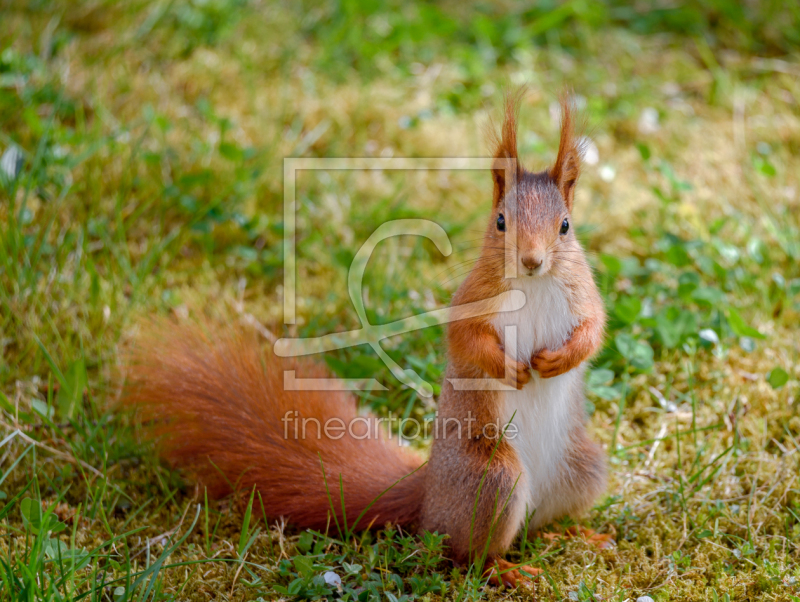 frei w&auml;hlbarer Bildausschnitt f&uuml;r Ihr Bild auf Tapete