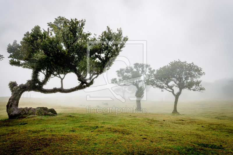frei wählbarer Bildausschnitt für Ihr Bild auf Tapete