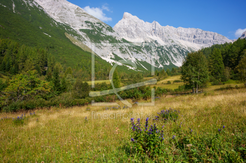 frei wählbarer Bildausschnitt für Ihr Bild auf Tapete
