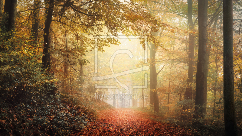 frei w&auml;hlbarer Bildausschnitt f&uuml;r Ihr Bild auf Tapete