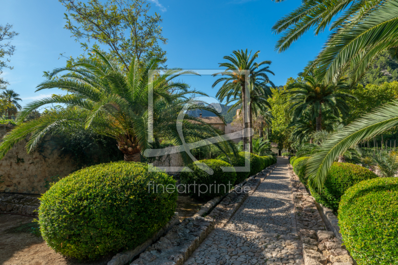 frei w&auml;hlbarer Bildausschnitt f&uuml;r Ihr Bild auf Tapete