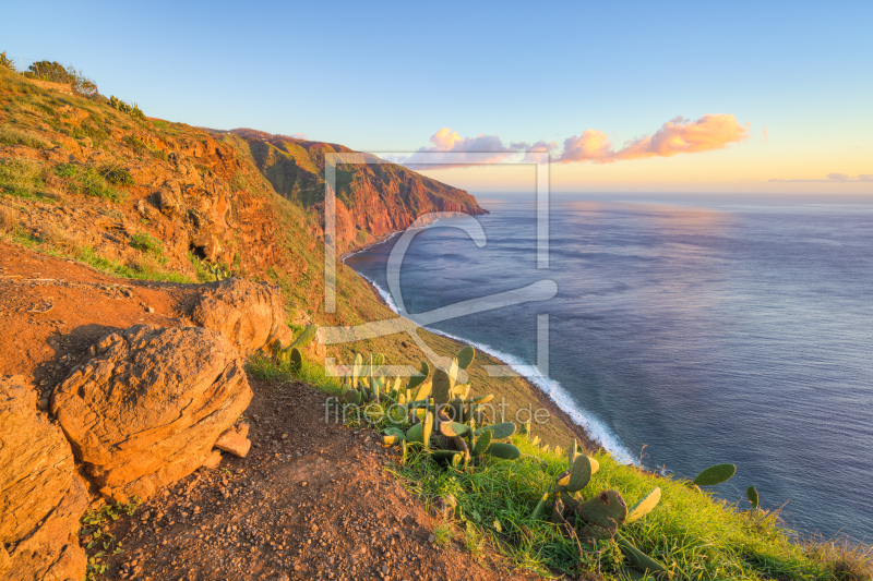 frei w&auml;hlbarer Bildausschnitt f&uuml;r Ihr Bild auf Tapete