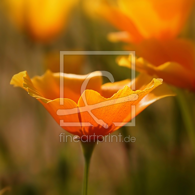 frei wählbarer Bildausschnitt für Ihr Bild auf Tapete